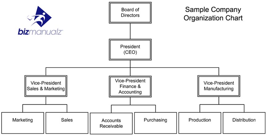 Organizational Chart Of A Company And Its Functions