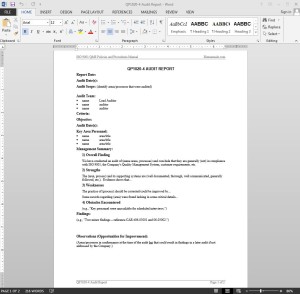 Audit Report ISO Template